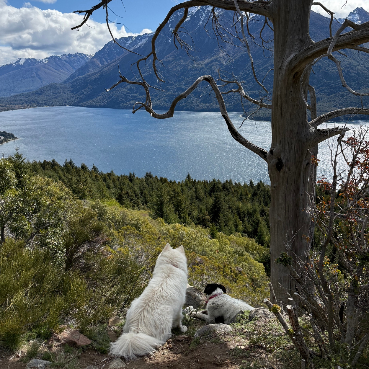 Frecuencia Infinita - Momento 4